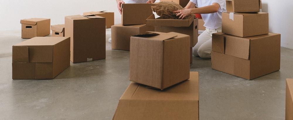 Move-In & Move-Out Cleaning Services Zeeland